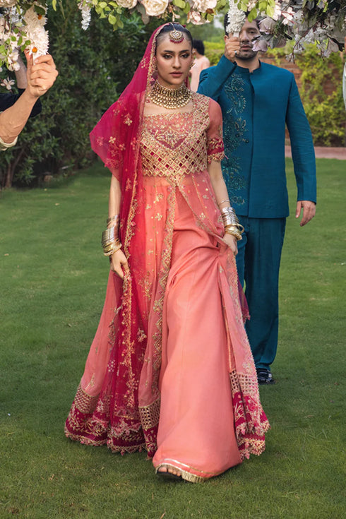 Rang Rasiya Embroidered Organza Suit Narmeen