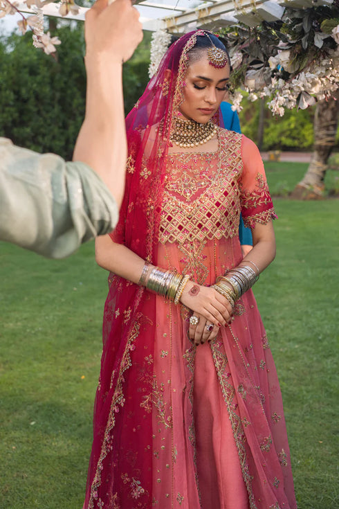 Rang Rasiya Embroidered Organza Suit Narmeen