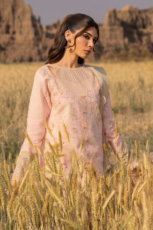 Rang Rasiya Lawn suit NEHAL