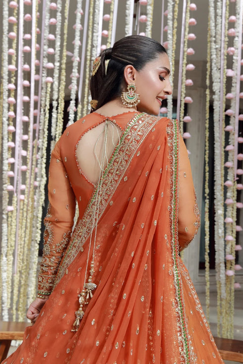 Gulmina Embroidered Chiffon Suit Anaya