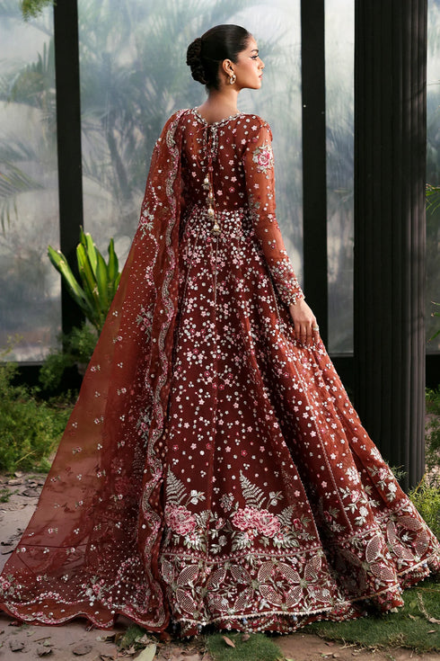 Afrozeh Embroidered Organza Suit Shale