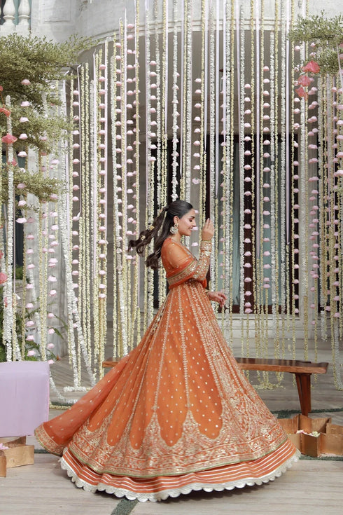 Gulmina Embroidered Chiffon Suit Anaya