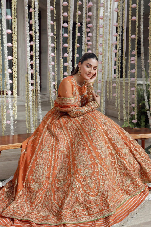 Gulmina Embroidered Chiffon Suit Anaya