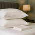 Hotel Quality Bounce Back Pillows with Pillow Case 2 Pack Soft Luxury Bed Pillow