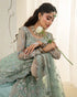 Faiza Saqlain Embroidered Net Suit Selin