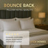 Hotel Quality Bounce Back Pillows with Pillow Case 2 Pack Soft Luxury Bed Pillow