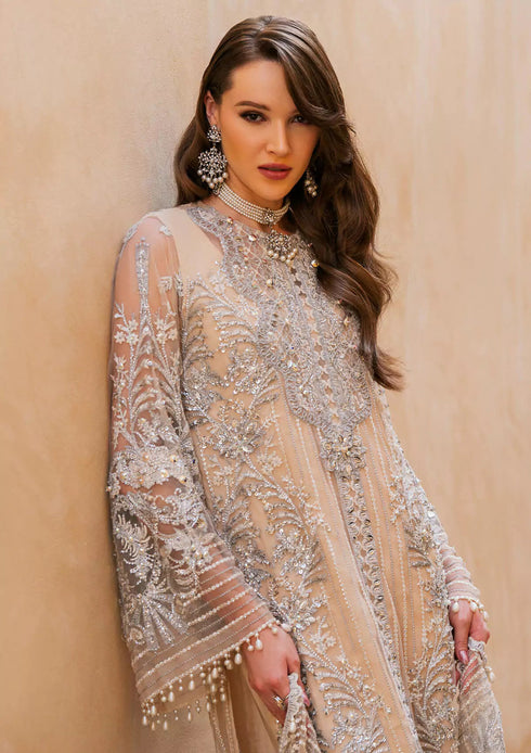 Elaf Embroidered Net 3 Piece EEB-03 ZAYNA