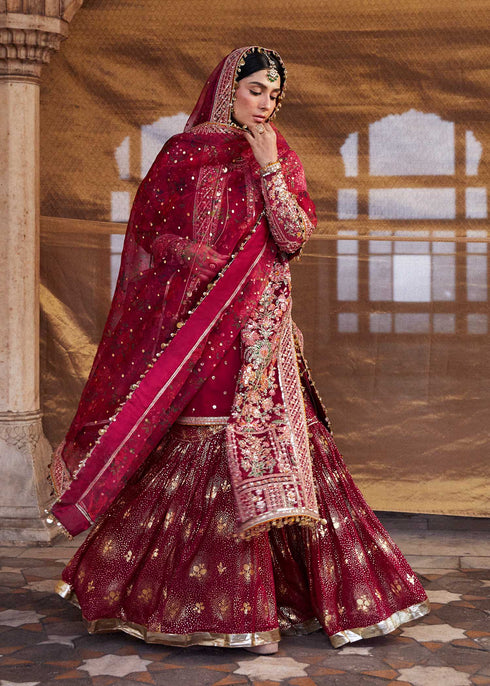 Hussain Rehar Embroidered Organza 3 Piece Suit Gulal