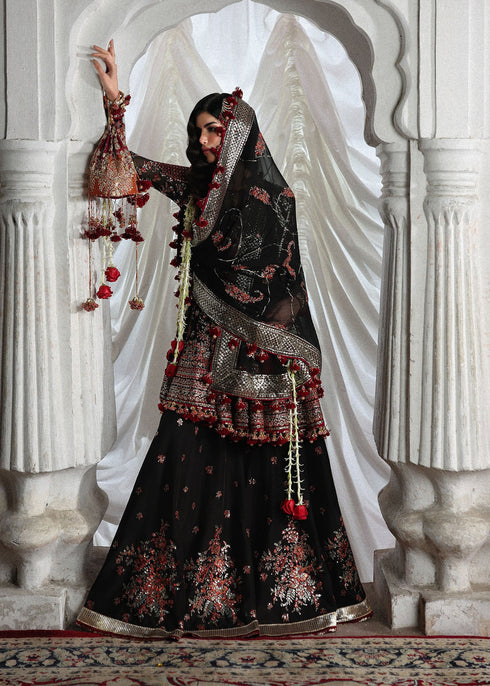 Hussain Rehar Embroidered Chiffon Suit Siyara