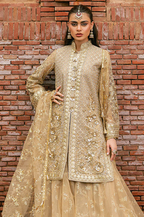 Mohsin Naveed Ranjha Embroidered Organza Suit Roshni