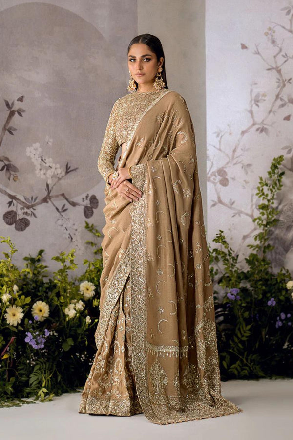 AIK Atelier Embroidered Net Sari LOOK 02