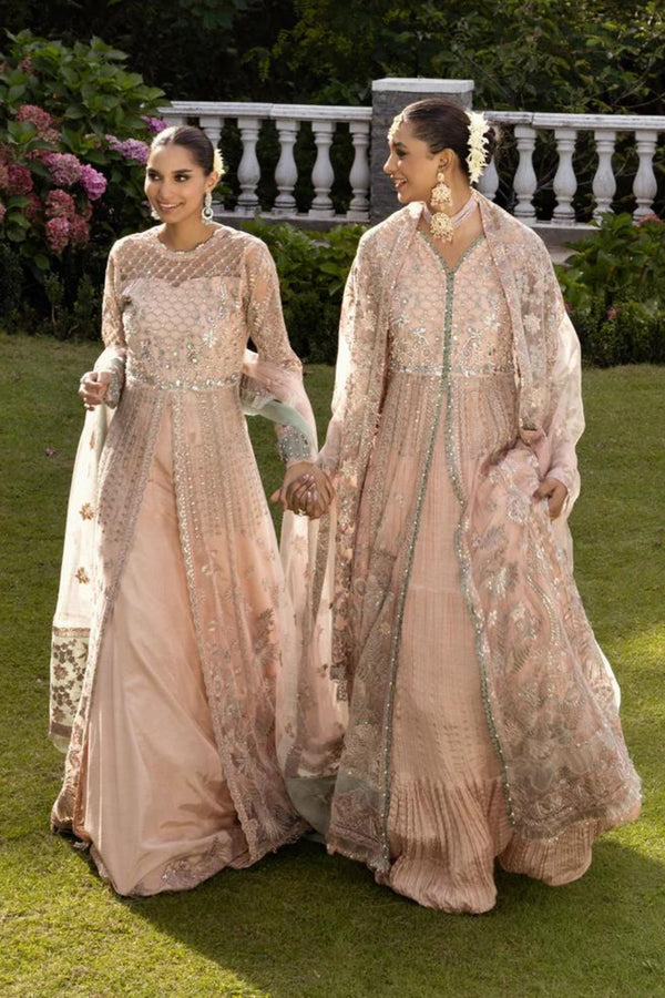 Xenia Embroidered Net 3 Piece Suit - MAISHA