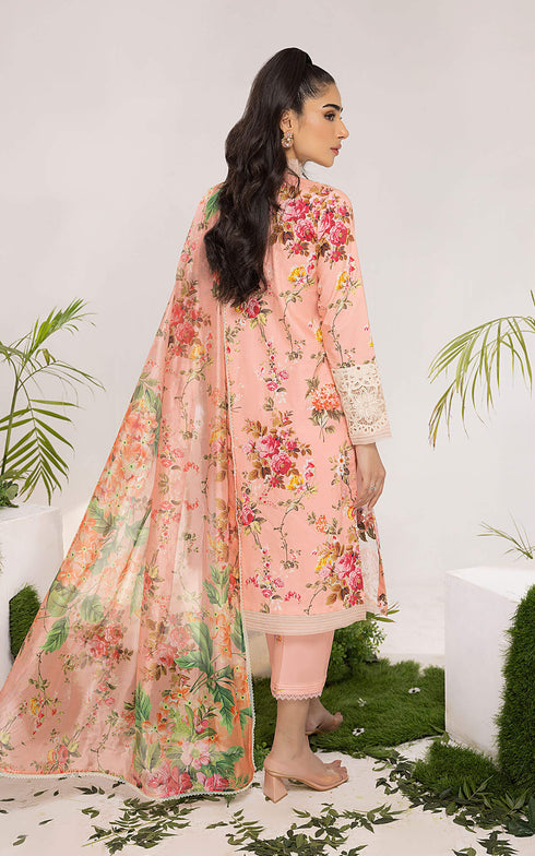 Asifa Nabeel Embroidered Lawn 3 Piece suit PEONY ALV-08