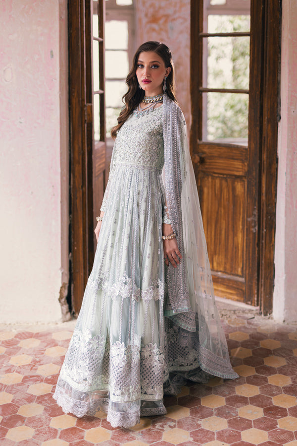 Azure Embroidered Net 3 piece Aarzoo