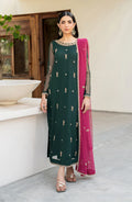 Zarif Embroidered Net Suit HW-03 RAYA