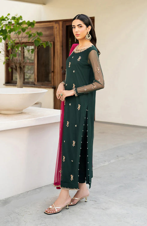 Zarif Embroidered Net Suit HW-03 RAYA