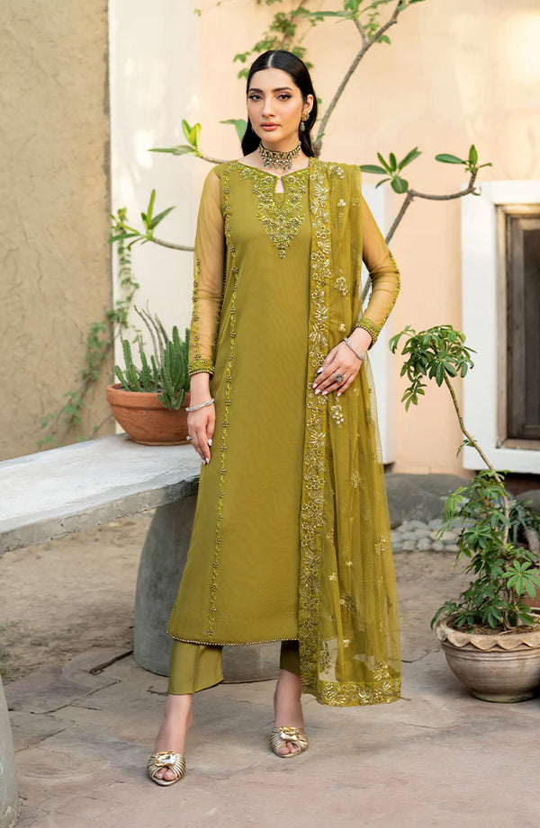 Zarif Embroidered Net Suit HW-06 JEAN