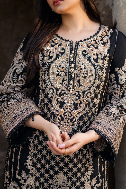 Imrozia Embroidered Net Suit I-222