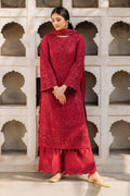 Imrozia Embroidered Net Suit I-219