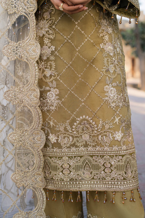 Imrozia Embroidered Organza Suit I-226