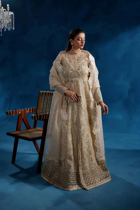 Maryams Embroidered Organza Suit NAZMAIRA – TBR-8015