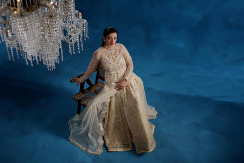 Maryams Embroidered Organza Suit NAZMAIRA – TBR-8015