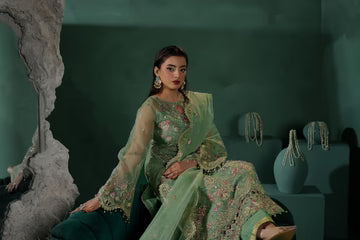 Maryams Embroidered Organza Suit ZAFEERA – TBR-8020