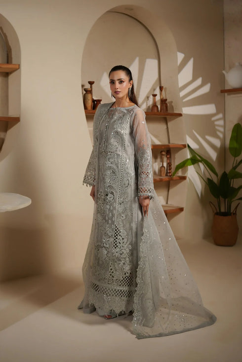 Maryams Embroidered Organza Suit M-1402