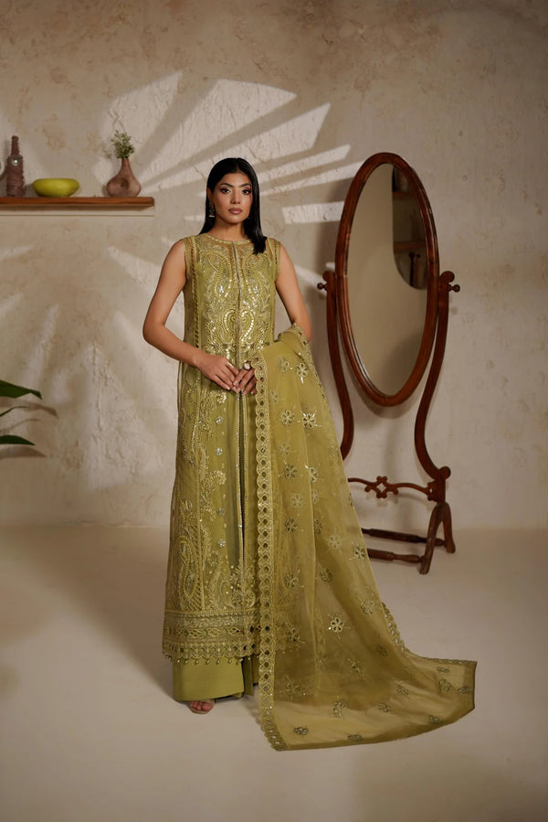 Maryams Embroidered Organza Suit M-1406