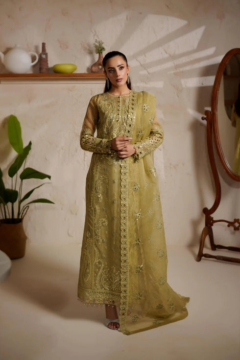 Maryams Embroidered Organza Suit M-1406