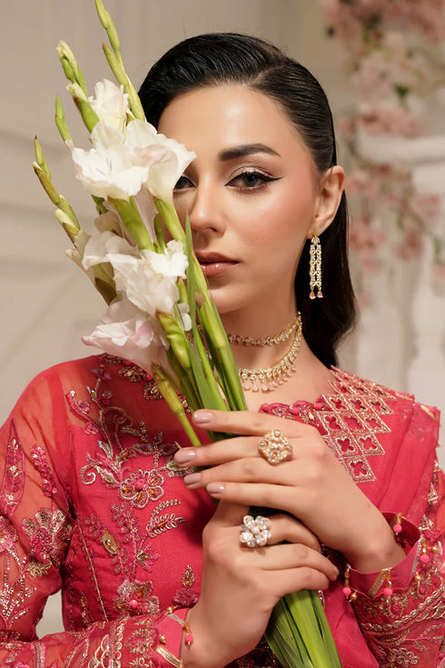 Maryams Organza 3 Piece Suit Alyzeh