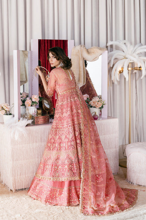 Afrozeh Embroidered Organza 3 piece suit FLAMINGO FLAIR