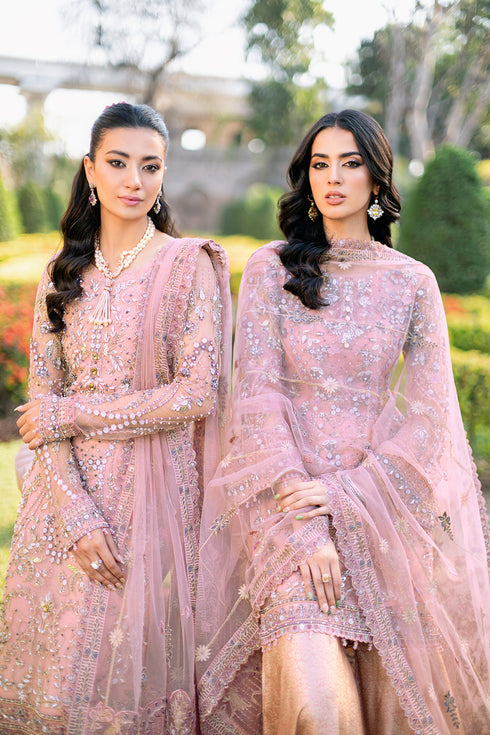 Ramsha Embroidered Net 3 Piece suit H-207