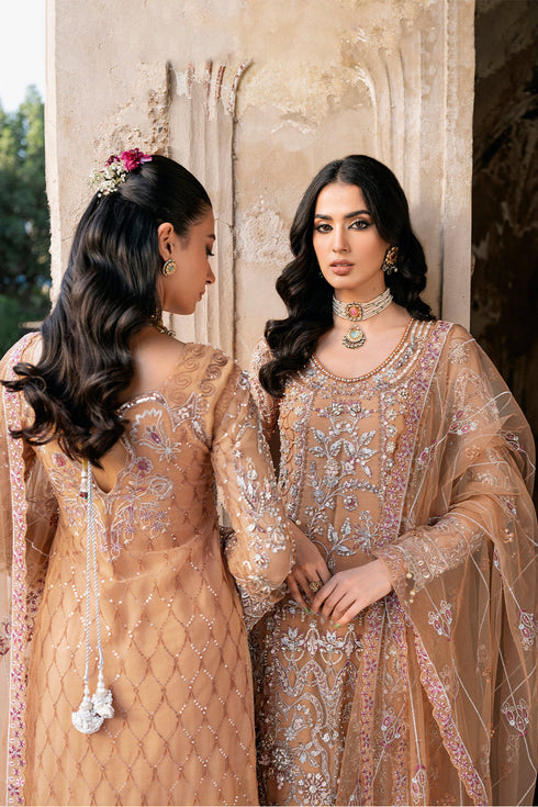 Ramsha Embroidered Net 3 Piece suit H-209