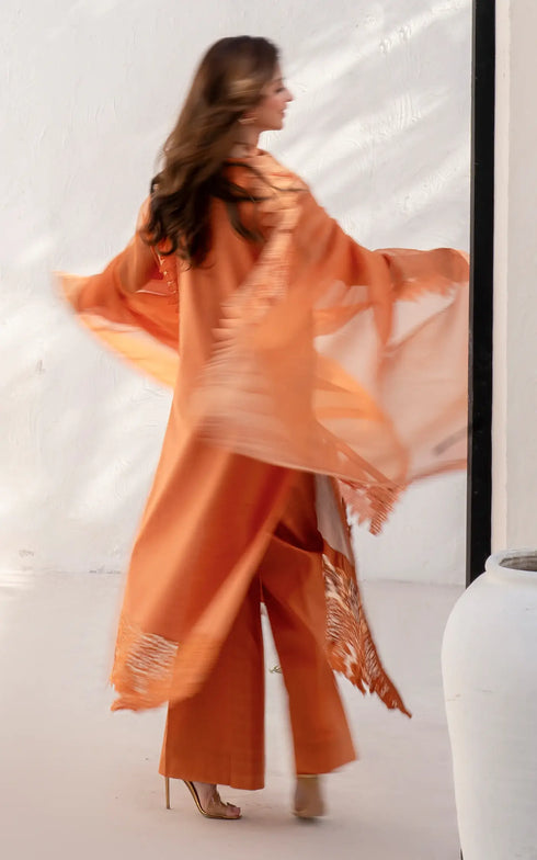 Asifa Nabeel Embroidered Lawn Suit Day lily