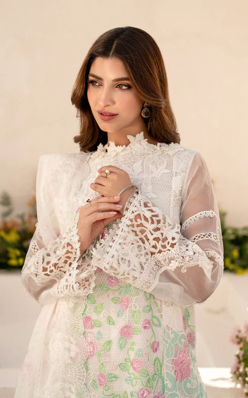 Asifa Nabeel Embroidered Lawn Suit Dove