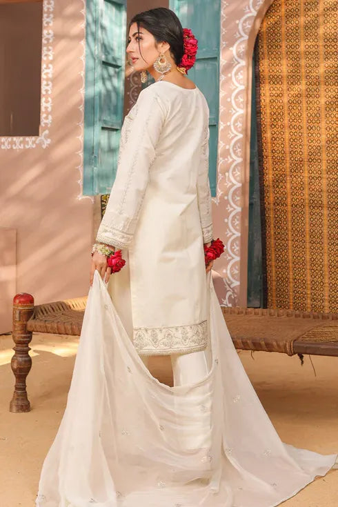 Rang e Noor Khadi Net 3 Piece Suit RNF-04