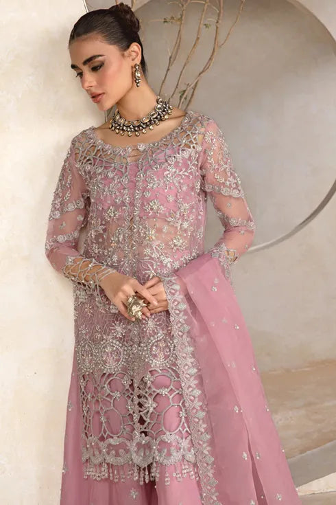 Rang Rasiya Chiffon 3 piece Suit Natasha