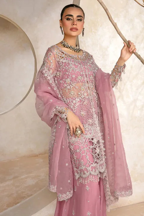 Rang Rasiya Chiffon 3 piece Suit Natasha