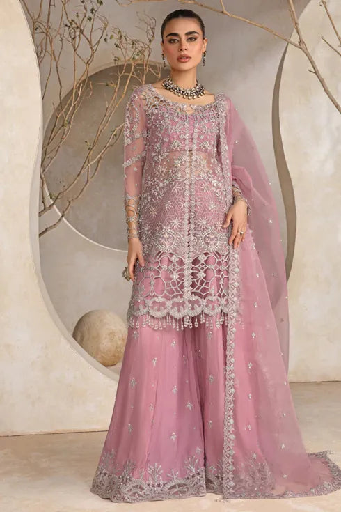 Rang Rasiya Chiffon 3 piece Suit Natasha