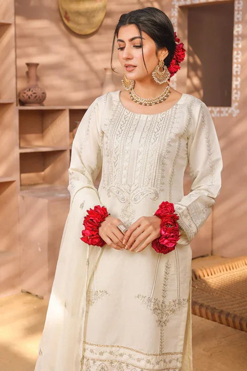 Rang e Noor Khadi Net 3 Piece Suit RNF-04