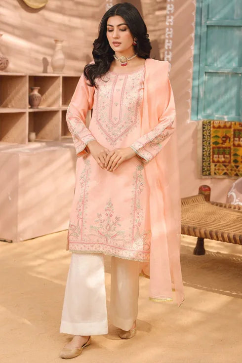 Rang e Noor Khadi Net 3 Piece Suit RNF-08