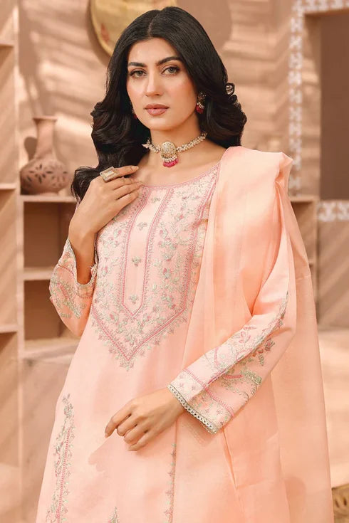 Rang e Noor Khadi Net 3 Piece Suit RNF-08