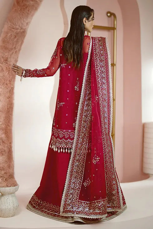 Ayzel Organza 3 Piece Suit Ruby