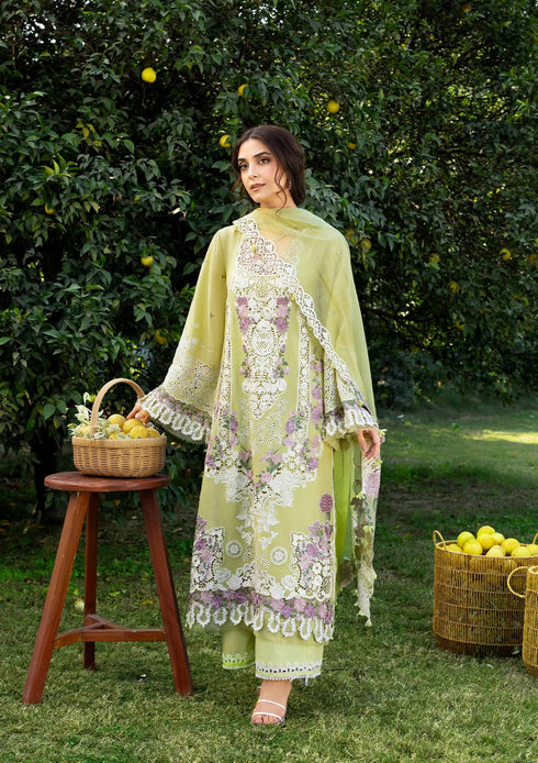 Elaf Embroiderd Lawn Suit ELY-08 PISTACHIA