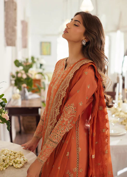 Gulaal Embroidered Chikankaari suit Solara