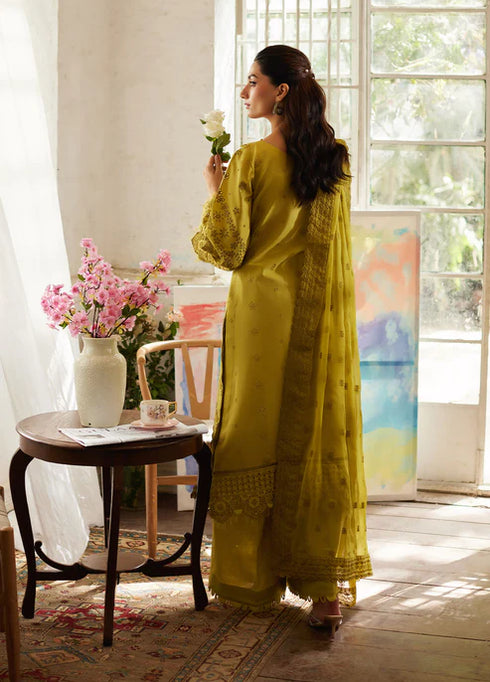 Gulaal Embroidered Chikankaari suit Aurelia