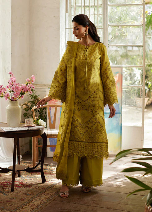 Gulaal Embroidered Chikankaari suit Aurelia