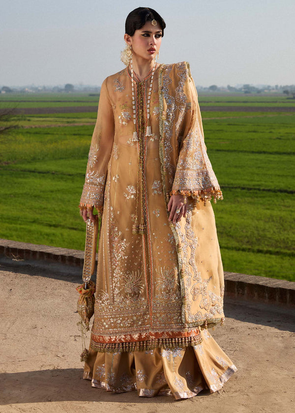 Hussain Rehar Organza Suit Sundal