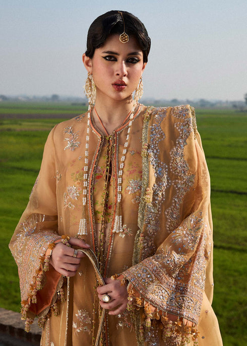 Hussain Rehar Organza Suit Sundal